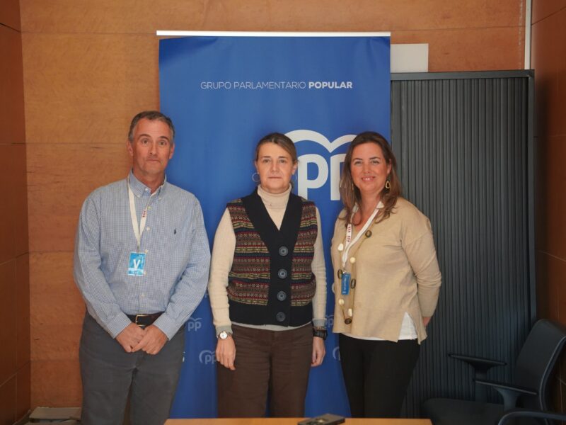 FAMILY UP Y EL PP EN LAS CORTES VALENCIANAS